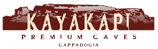 kayakapi travel services